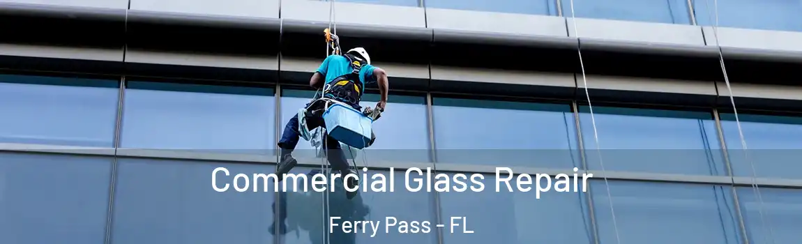 Commercial Glass Repair Ferry Pass - FL
