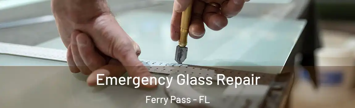 Emergency Glass Repair Ferry Pass - FL