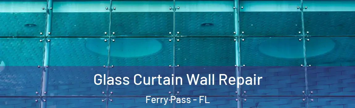 Glass Curtain Wall Repair Ferry Pass - FL