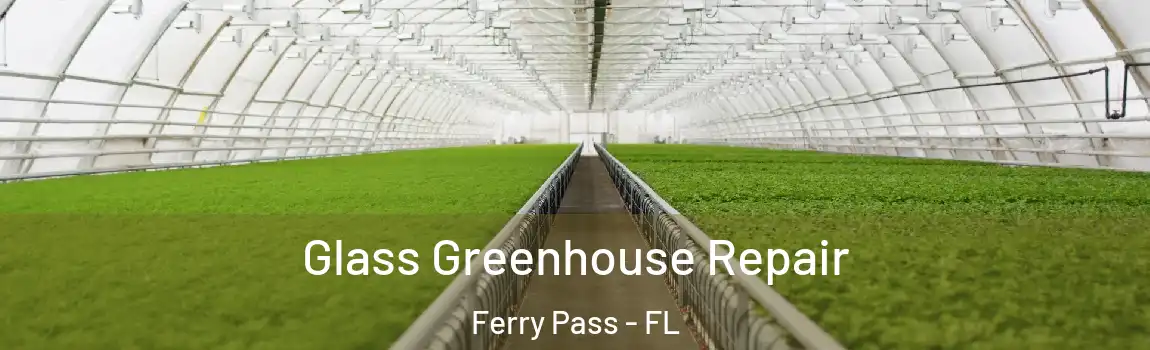 Glass Greenhouse Repair Ferry Pass - FL