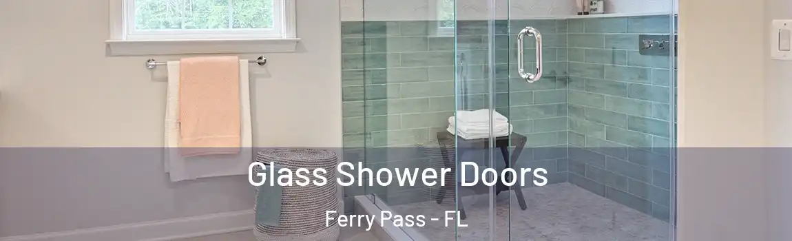 Glass Shower Doors Ferry Pass - FL