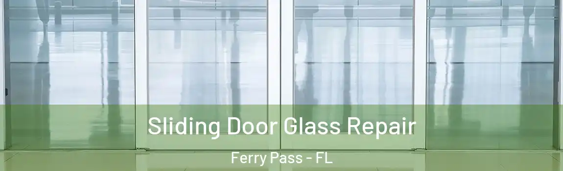 Sliding Door Glass Repair Ferry Pass - FL
