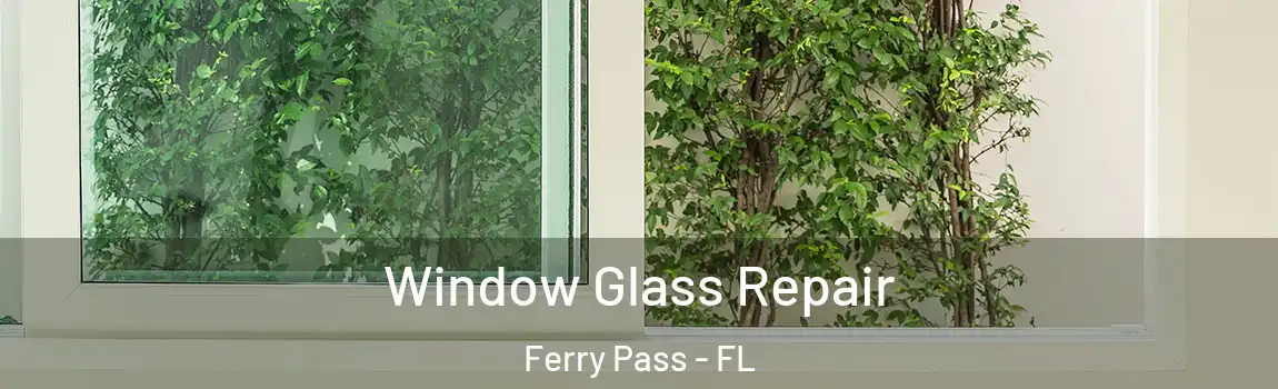 Window Glass Repair Ferry Pass - FL